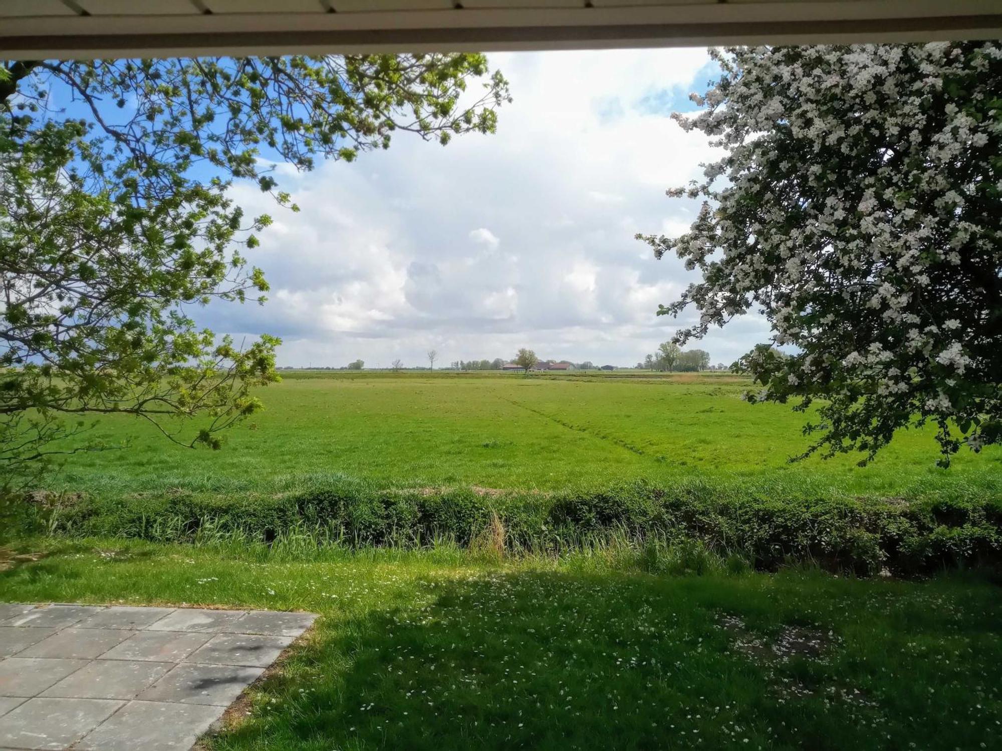 Fischerhaus Am Deich 45233 Jemgum Zewnętrze zdjęcie